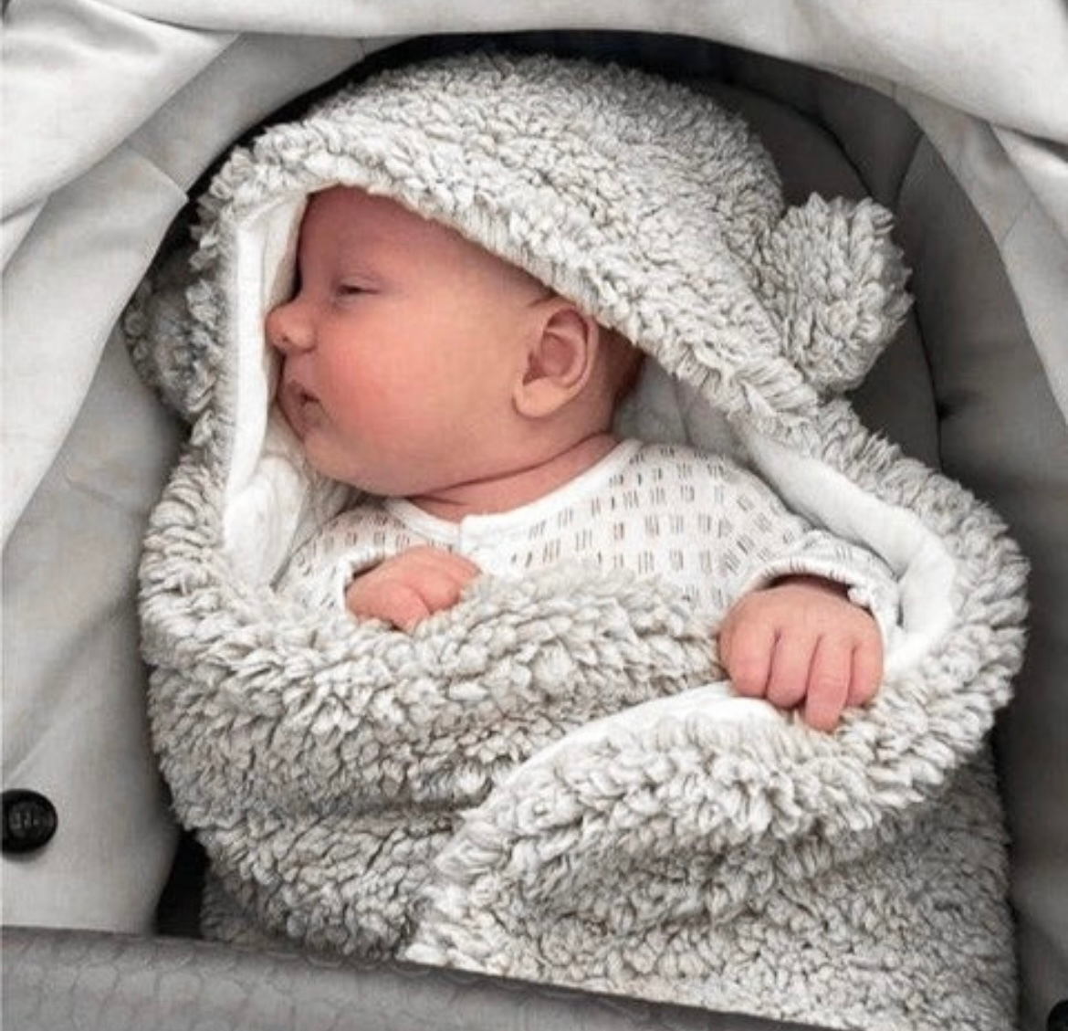 Teddy Bear Pram Suit
